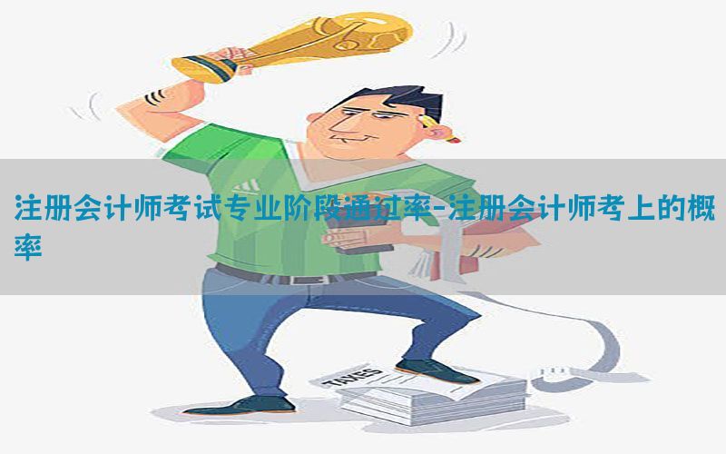 注册会计师考试专业阶段通过率-注册会计师考上的概率