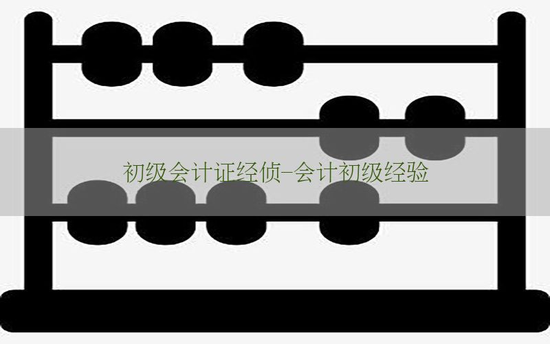 初级会计证经侦-会计初级经验