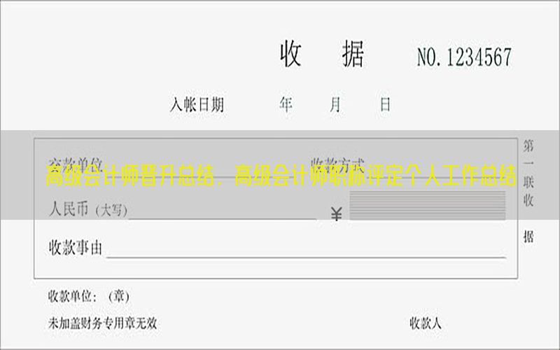 高级会计师晋升总结，高级会计师职称评定个人工作总结