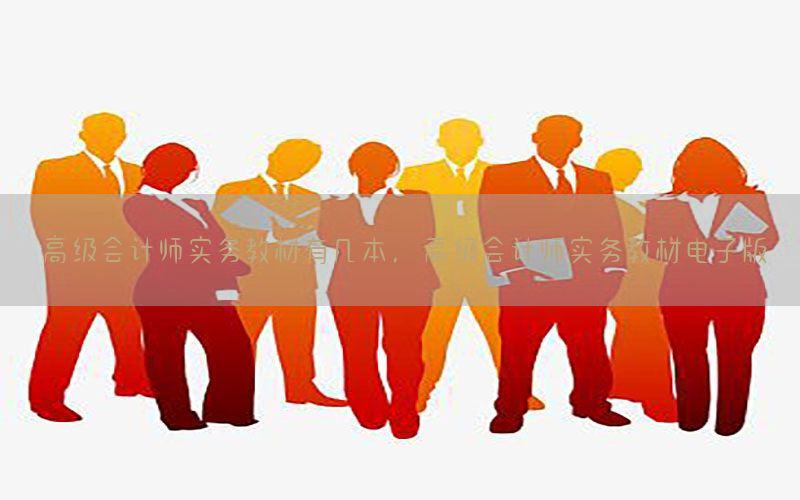 高级会计师实务教材有几本，高级会计师实务教材电子版