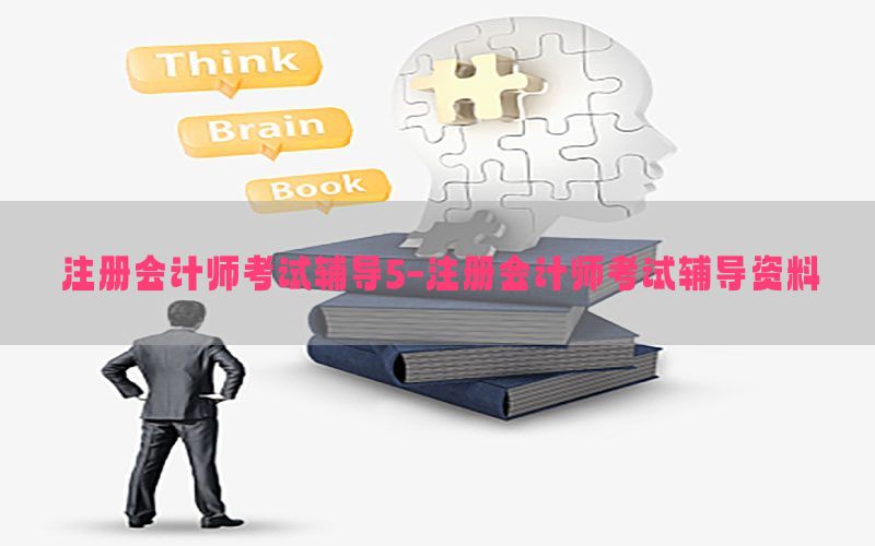 注册会计师考试辅导5-注册会计师考试辅导资料