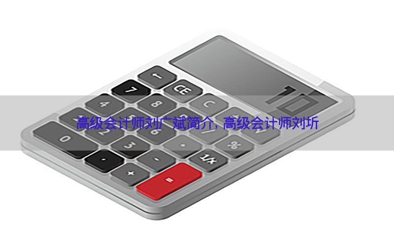 高级会计师刘广斌简介，高级会计师刘圻