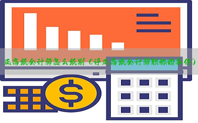 正高级会计师怎么级别（评正高级会计师职称的条件）