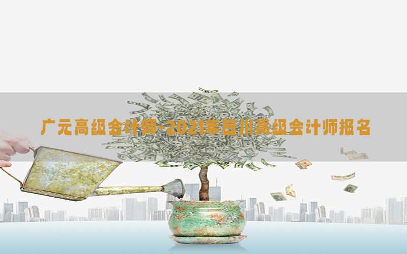 广元高级会计师-2021年四川高级会计师报名