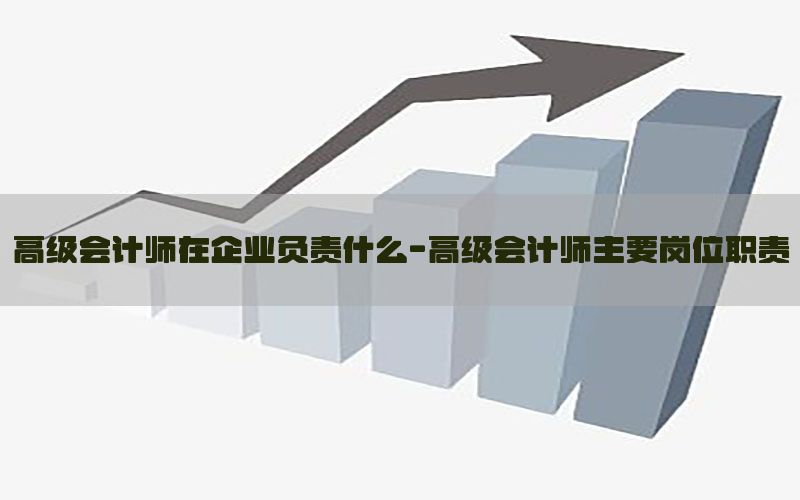 高级会计师在企业负责什么-高级会计师主要岗位职责