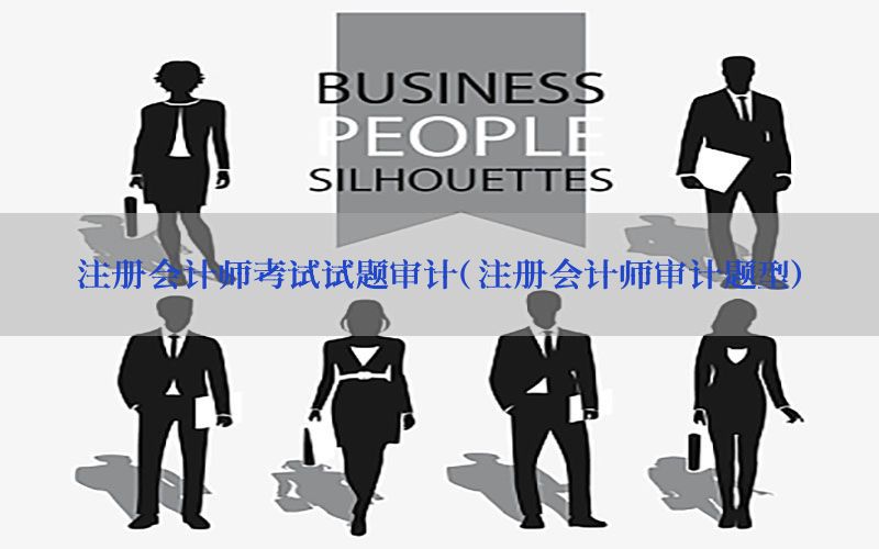 注册会计师考试试题审计（注册会计师审计题型）