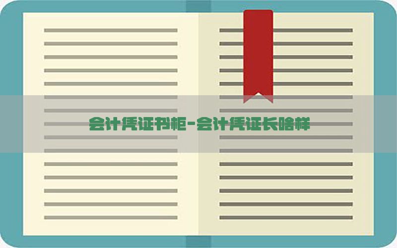 会计凭证书柜-会计凭证长啥样