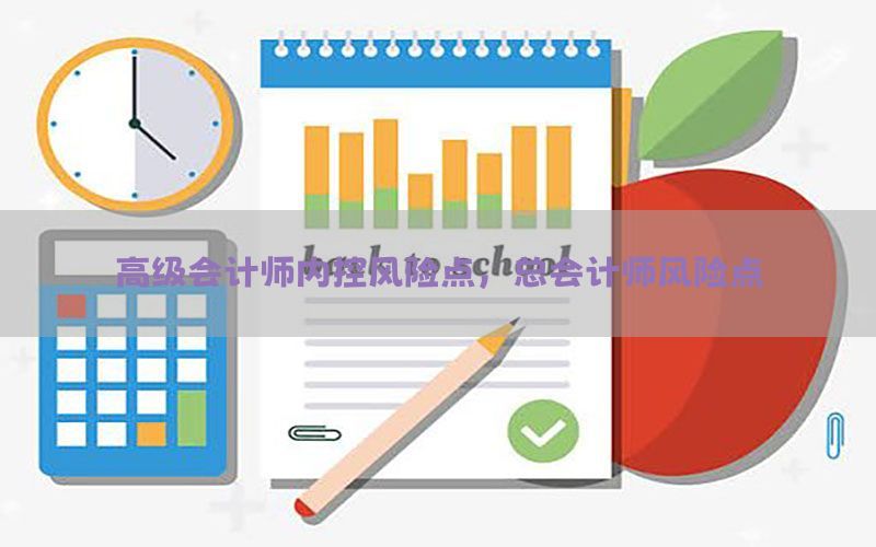 高级会计师内控风险点，总会计师风险点