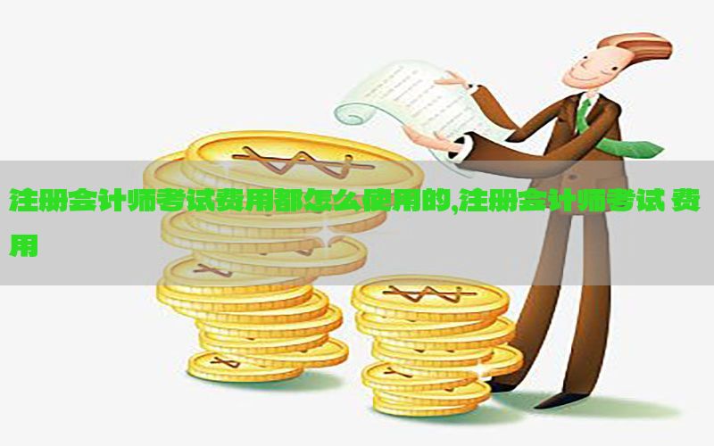 注册会计师考试费用都怎么使用的，注册会计师考试 费用