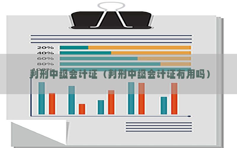 判刑中级会计证（判刑中级会计证有用吗）