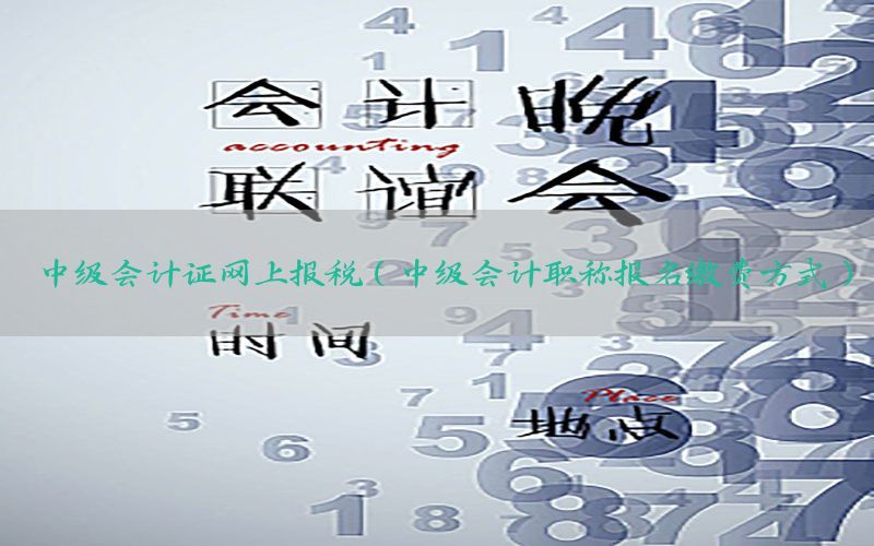 中级会计证网上报税（中级会计职称报名缴费方式）