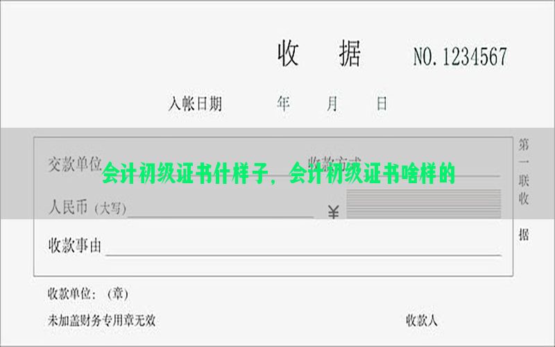 会计初级证书什样子，会计初级证书啥样的