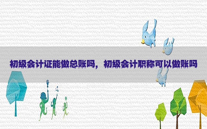 初级会计证能做总账吗，初级会计职称可以做账吗