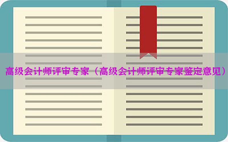 高级会计师评审专家（高级会计师评审专家鉴定意见）