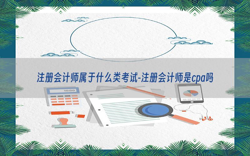 注册会计师属于什么类考试-注册会计师是cpa吗