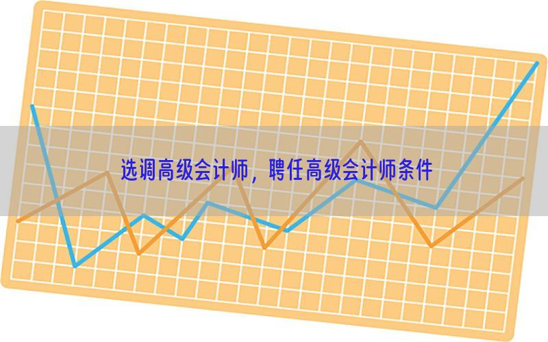 选调高级会计师，聘任高级会计师条件