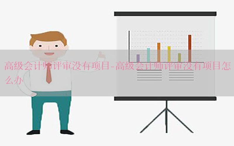 高级会计师评审没有项目-高级会计师评审没有项目怎么办