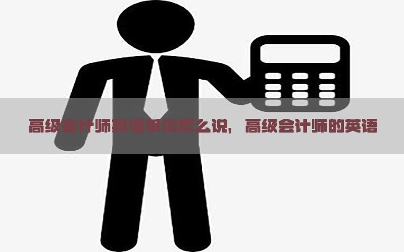 高级会计师英语单词怎么说，高级会计师的英语