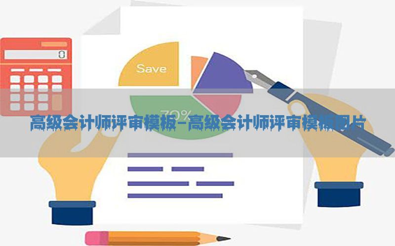 高级会计师评审模板-高级会计师评审模板图片