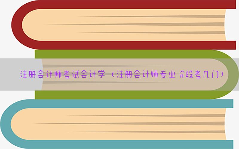 注册会计师考试会计学（注册会计师专业阶段考几门）