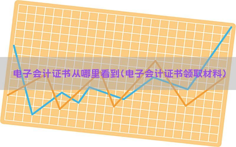 电子会计证书从哪里看到（电子会计证书领取材料）