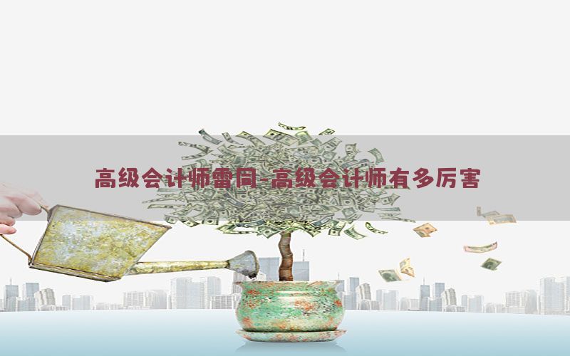 高级会计师雷同-高级会计师有多厉害