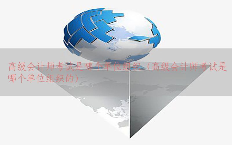 高级会计师考试是哪个单位组织（高级会计师考试是哪个单位组织的）
