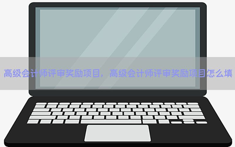 高级会计师评审奖励项目，高级会计师评审奖励项目怎么填