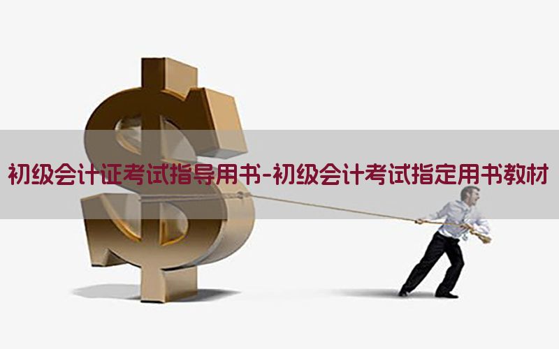 初级会计证考试指导用书-初级会计考试指定用书教材