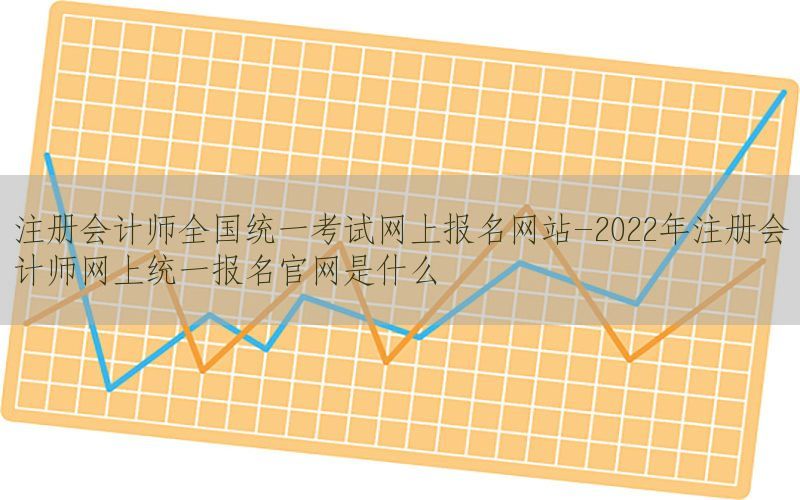 注册会计师全国统一考试网上报名网站-2022年注册会计师网上统一报名官网是什么