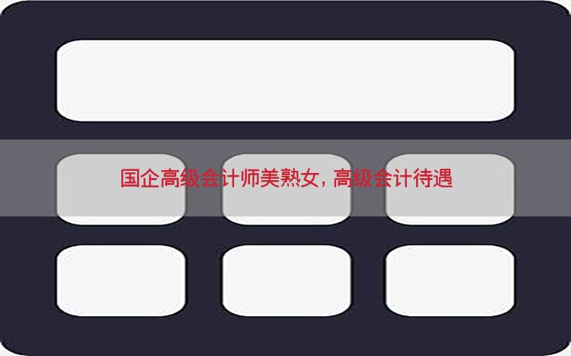 国企高级会计师美熟女，高级会计待遇