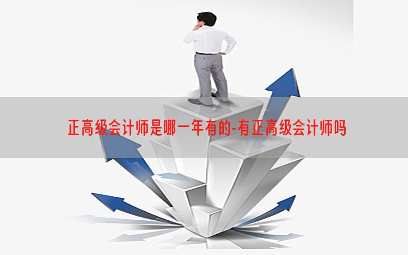 正高级会计师是哪一年有的-有正高级会计师吗