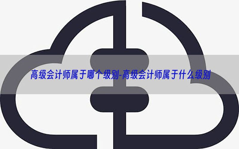高级会计师属于哪个级别-高级会计师属于什么级别