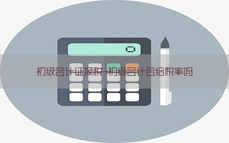 初级会计证报税-初级会计会给税率吗