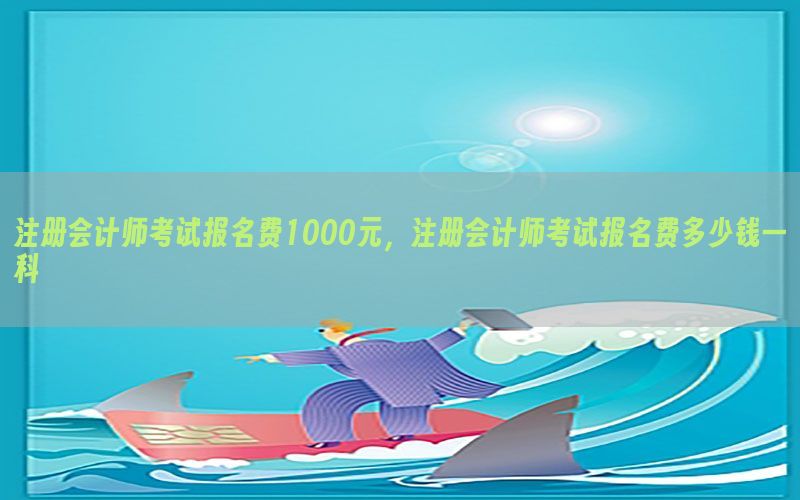 注册会计师考试报名费1000元，注册会计师考试报名费多少钱一科