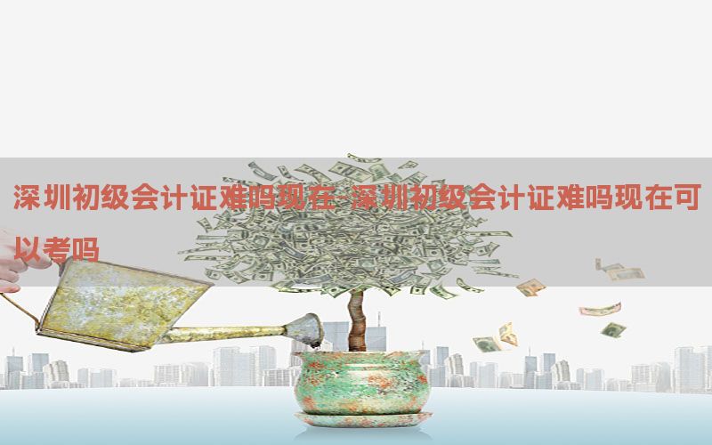 深圳初级会计证难吗现在-深圳初级会计证难吗现在可以考吗