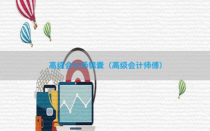 高级会计师锦囊（高级会计师傅）