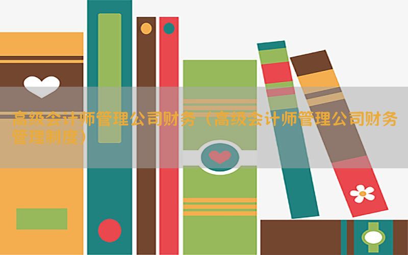 高级会计师管理公司财务（高级会计师管理公司财务管理制度）