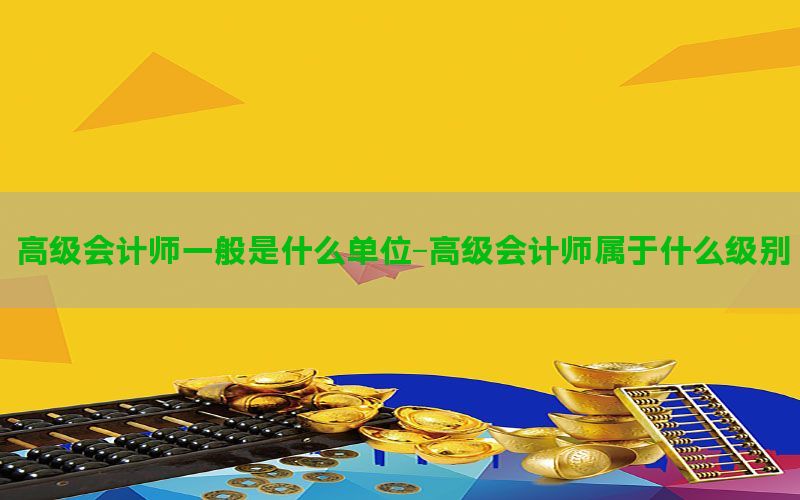 高级会计师一般是什么单位-高级会计师属于什么级别
