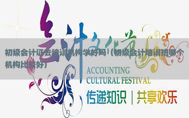 初级会计证去培训机构学好吗（初级会计培训班哪个机构比较好）