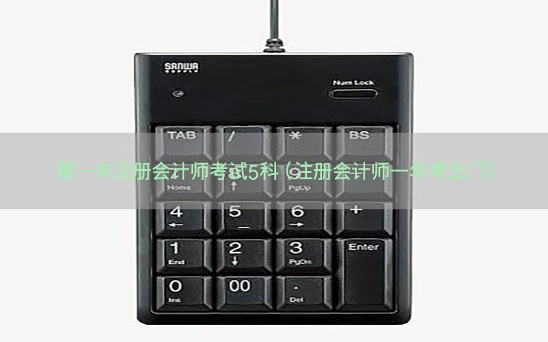 第一年注册会计师考试5科（注册会计师一年考五门）