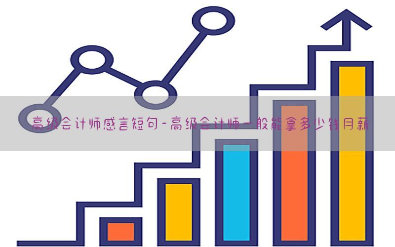 高级会计师感言短句-高级会计师一般能拿多少钱月薪