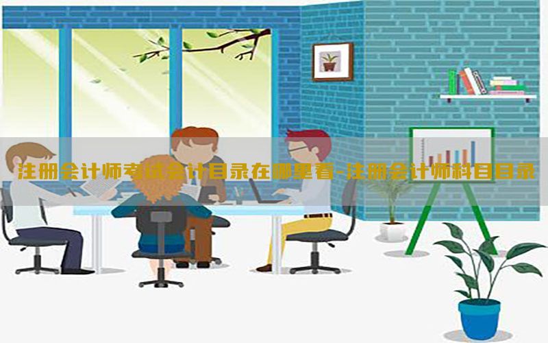 注册会计师考试会计目录在哪里看-注册会计师科目目录