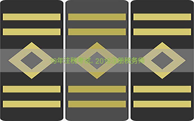 19年注税考试，2019注册税务师