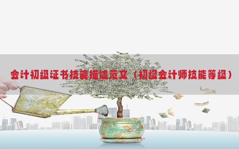 会计初级证书技能描述范文（初级会计师技能等级）