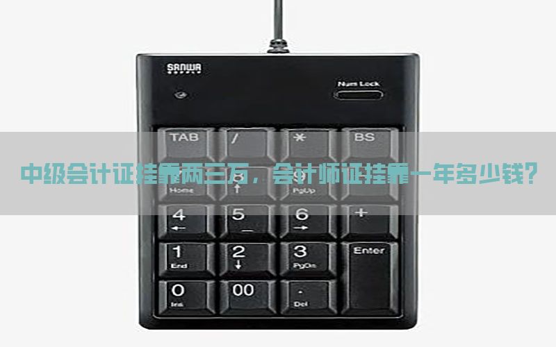 中级会计证挂靠两三万，会计师证挂靠一年多少钱?