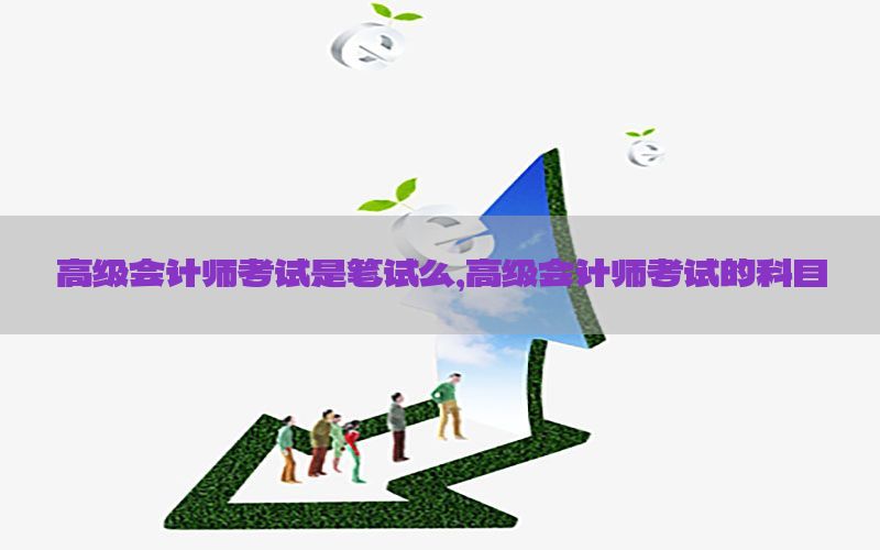 高级会计师考试是笔试么，高级会计师考试的科目