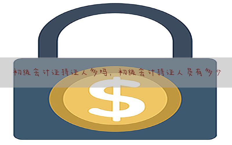 初级会计证持证人多吗，初级会计持证人员有多少