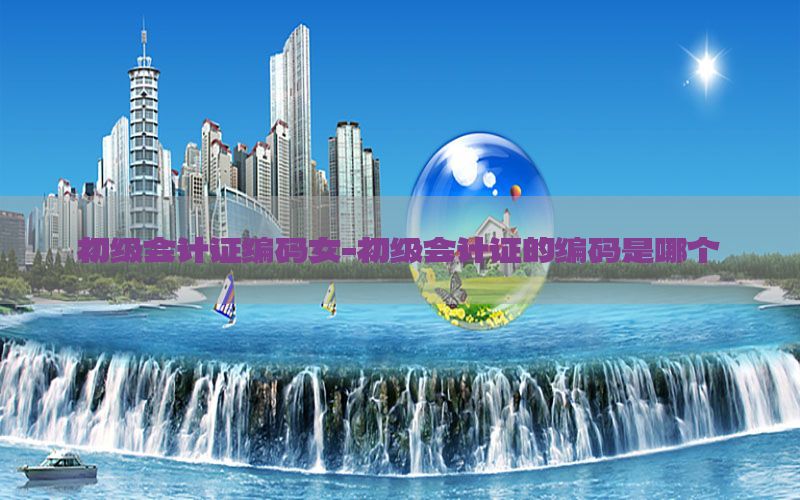 初级会计证编码女-初级会计证的编码是哪个