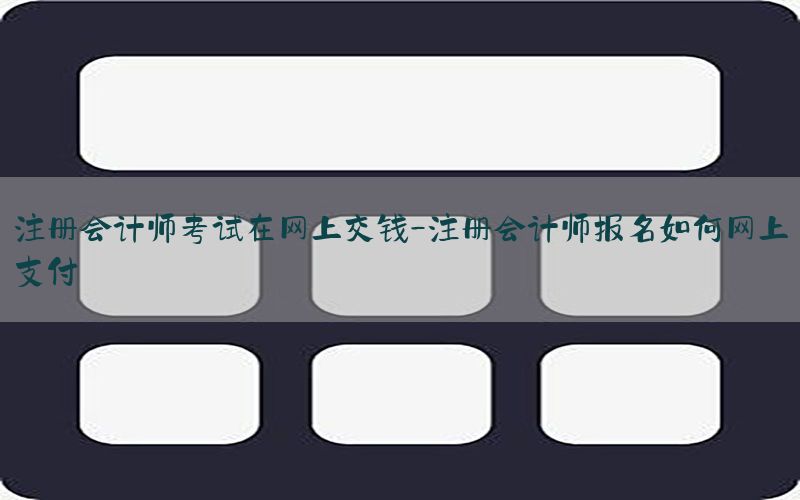 注册会计师考试在网上交钱-注册会计师报名如何网上支付